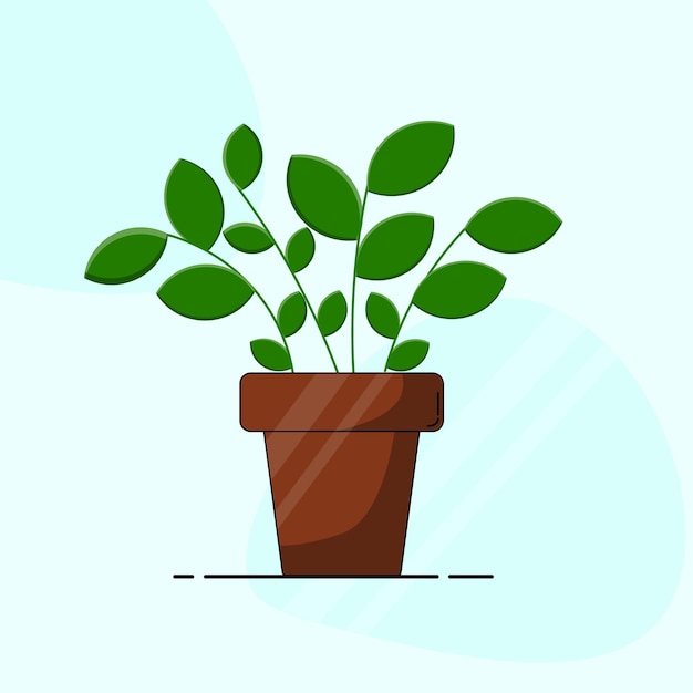 Plantas de interior