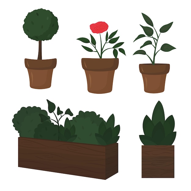 Vector plantas de jardín