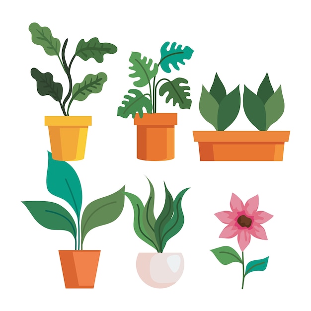 Vector plantas de jardinería en macetas y diseño de flores, plantación de jardines y tema de la naturaleza.