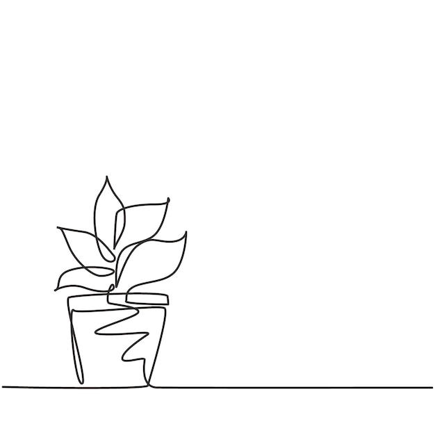 Las plantas en maceta con cinco hojas en crecimiento se utilizan para plantas ornamentales.