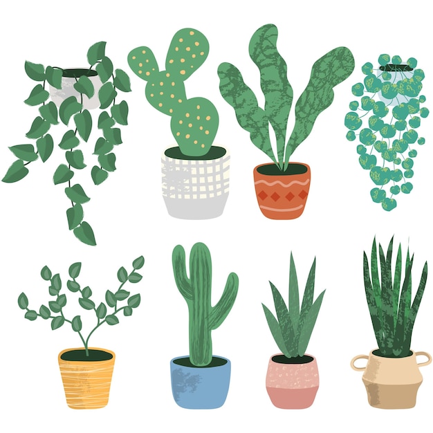 Plantas en maceta vector conjunto de ilustración de maceta