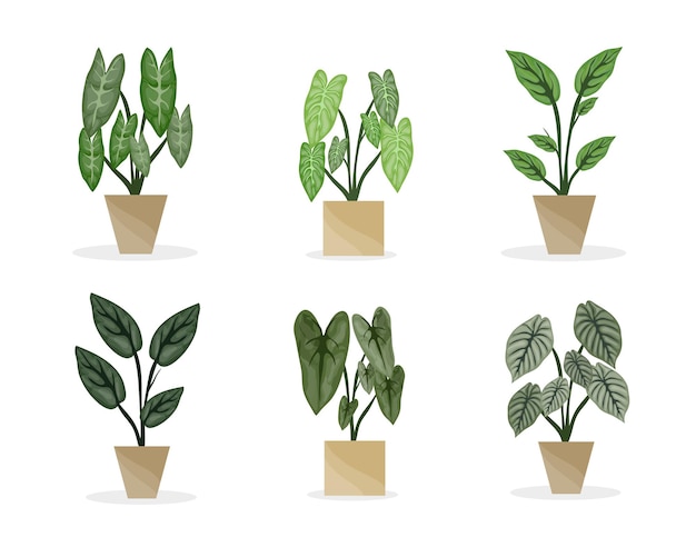 plantas en maceta vector set