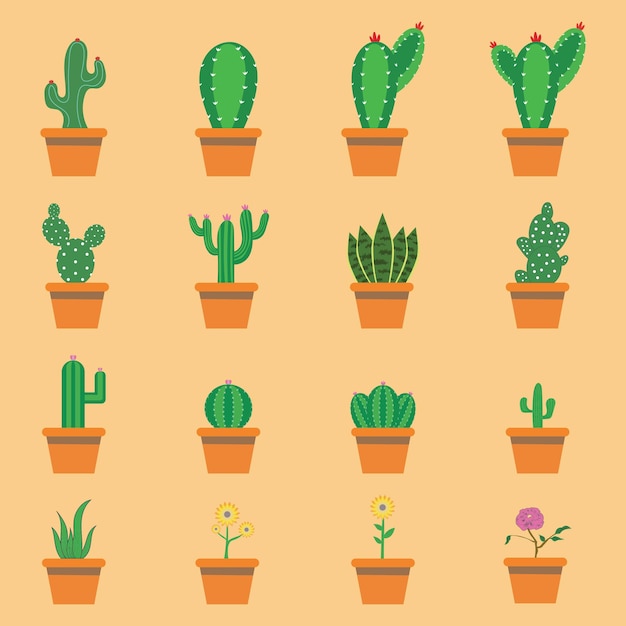 plantas en maceta