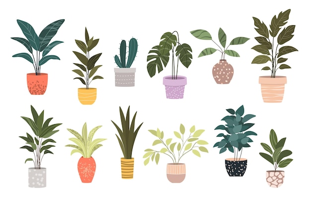 Plantas en macetas Decoración del hogar Una colección de varias plantas de interior Artes de clip vectoriales dibujadas a mano