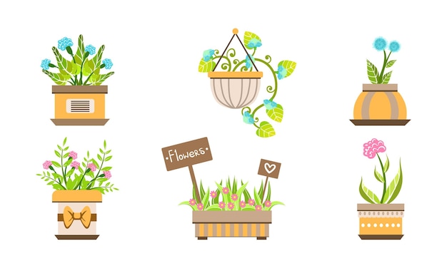 Plantas en macetas de interior y exterior para el hogar o la oficina plantas decorativas en macetas ilustración vectorial