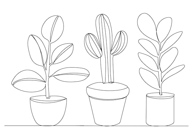 Plantas en macetas vector de dibujo de línea continua