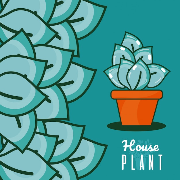 plantas en macetas
