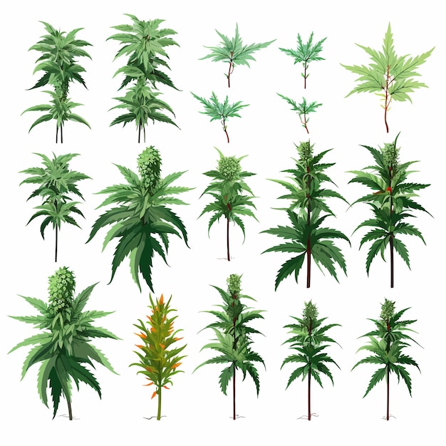 Vector plantas de malezas