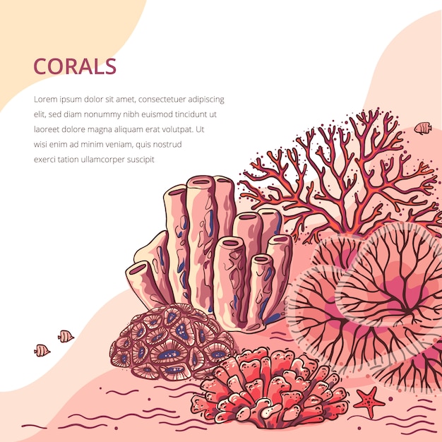Vector plantas marinas y acuario coral fondo. ilustración de silueta de coral de naturaleza.