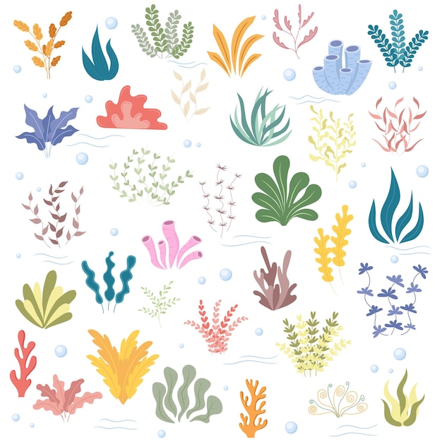 Plantas marinas y algas en conjunto Ilustración vectorial