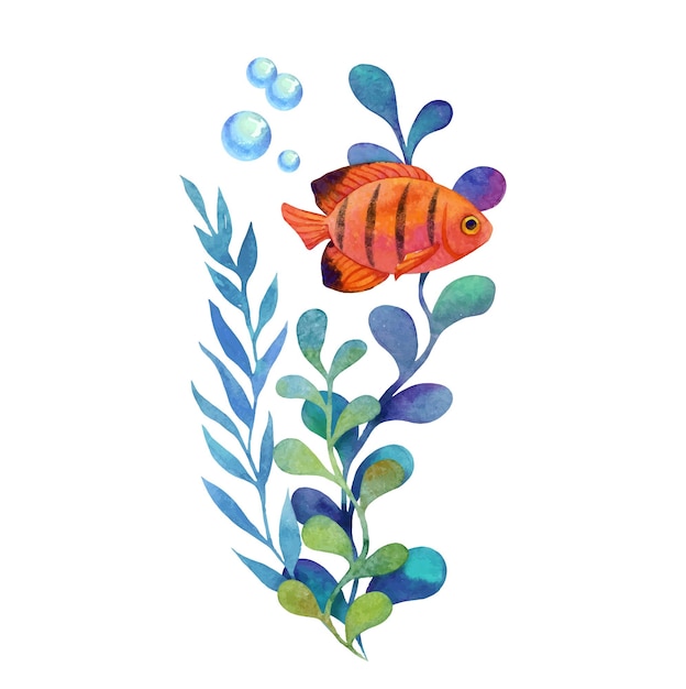 Vector plantas marinas y peces tropicales acuarela ilustración vectorial dibujada a mano aislada sobre fondo blanco