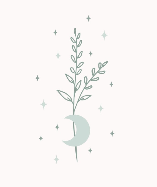 Plantas minimalistas con luna y magia.