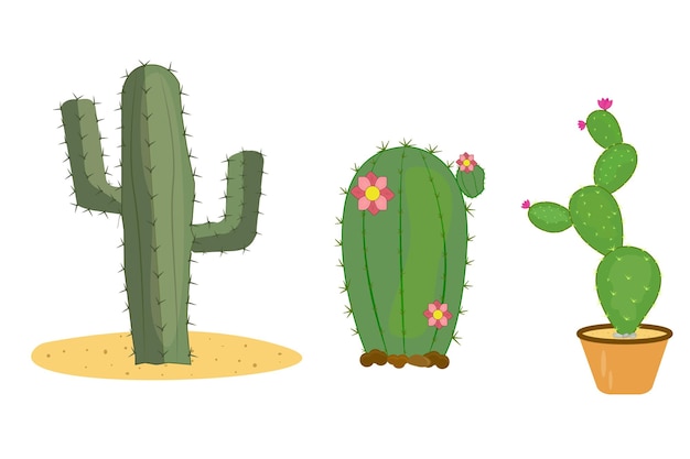 Plantas naturales de cactus Ilustración de juego