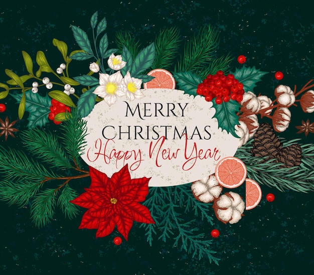 plantas navideñas. Rama de árbol de Navidad con conos, pino, acebo, thuja, muérdago, algodón