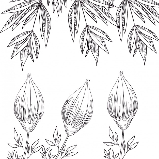 Plantas plantas y hierbas aisladas icono