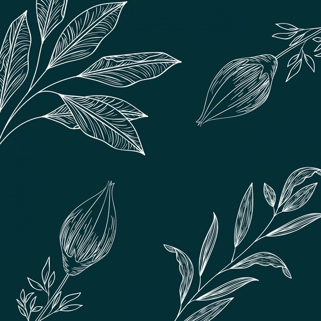 Plantas plantas y hierbas aisladas icono