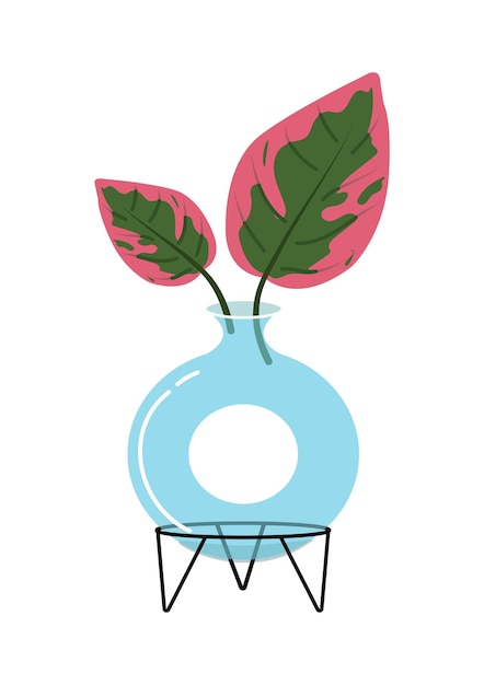 Plantas propagadas en el agua