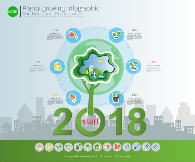 Plantas que crecen línea de tiempo infografía