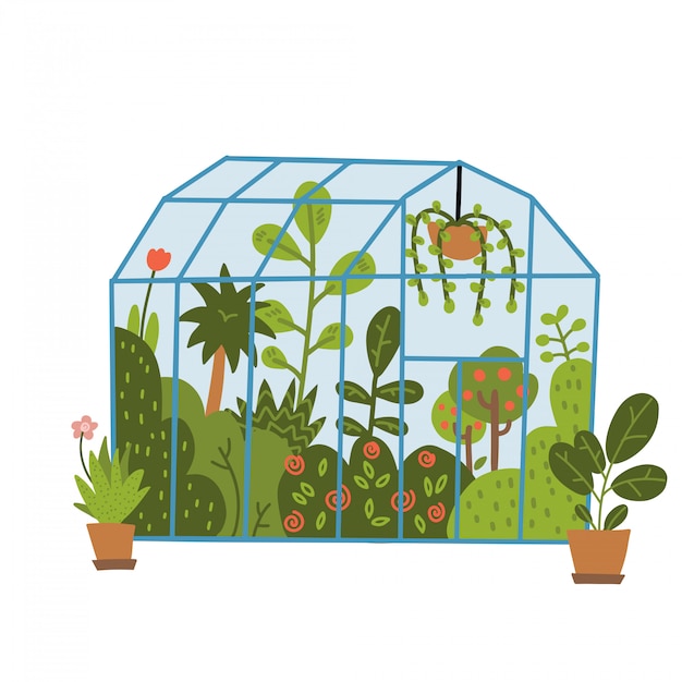 Plantas que crecen en macetas o macetas dentro de invernadero de vidrio. invernadero o jardín botánico. concepto de jardinería doméstica. ilustración de dibujado a mano plana moderna.
