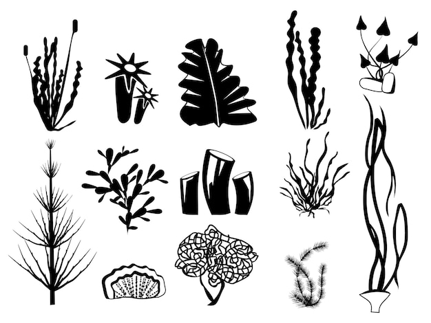 Vector plantas de río subacuático símbolos gráficos de la fauna botánica del océano de algas