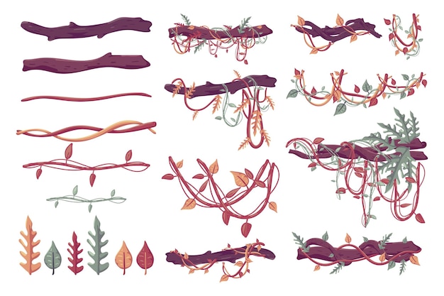 Plantas de la selva, liana, ramas vector conjunto de constructor de cepillo aislado en un fondo blanco.