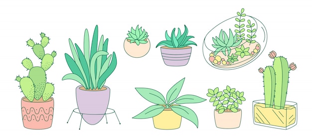 Vector plantas y suculentas, juego de línea plana de cerámica en maceta. color de dibujos animados lineal casa flor interior. plantas de interior, cactus, maceta monstera. colección de decoración para el hogar de moda. ilustración aislada