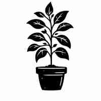 Vector plantas svg