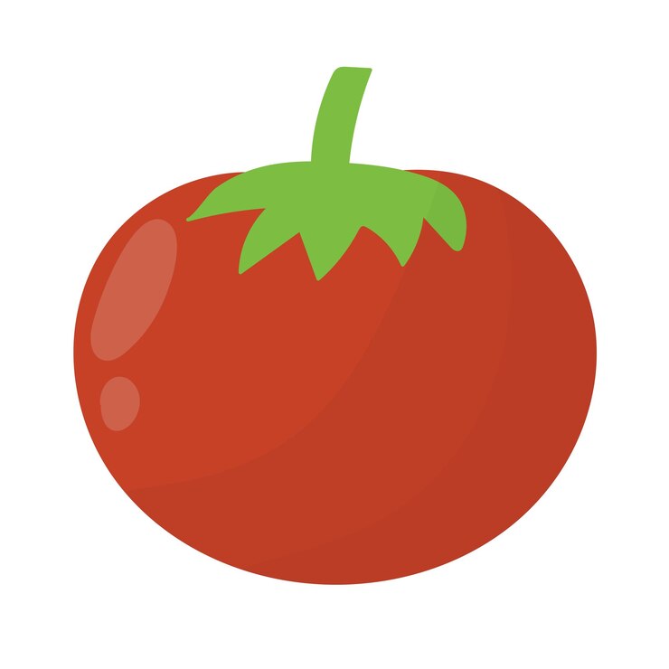 Vector plantas de tomate en el suelo proceso de cultivo de hortalizas agrícolas con tomates maduros al estilo de las caricaturas