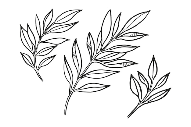 Plantas vectoriales dibujadas a mano brunch de flores boceto de hojas hierbas hierba silueta de tintas de hojas ilustración monocromática aislada sobre fondo blanco