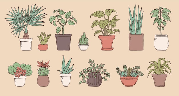 Plantas verdes de la casa. Vector conjunto planta de interior en maceta esquema doodle ilustración aislada.