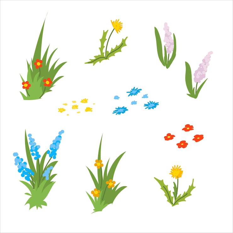 Vector plantas verdes y hierba en el césped flores silvestres elementos decorativos una planta para el jardín bosque ilustración vectorial aislada sobre fondo blanco