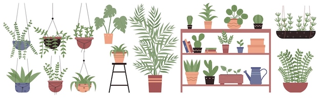 Plantas verdes en macetas colocadas en macetas colgando en macrame plantas de interior que crecen en el estante