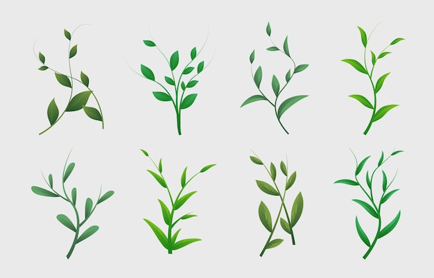 plantas verdes sobre un fondo gris