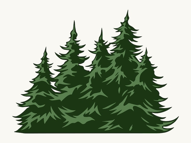 plantilla de abeto verde de cosecha