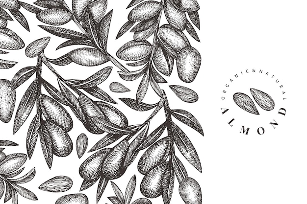 Plantilla de almendra boceto dibujado a mano. Ilustración de alimentos orgánicos. Ilustración de nuez vintage. Fondo botánico de estilo grabado.