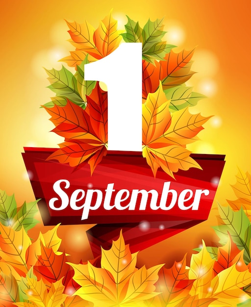 Vector plantilla de alta calidad a partir del 1 de septiembre hojas de otoño realistas