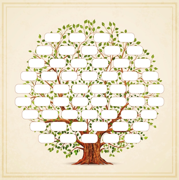 Vector plantilla de árbol genealógico. genealogía, pedigrí. estilo vintage para diseño retro. ilustración vectorial