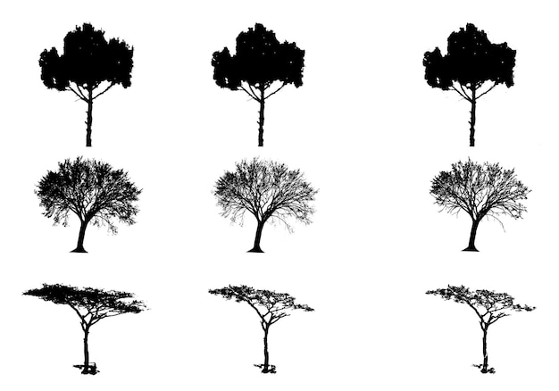 Vector plantilla de árbol png