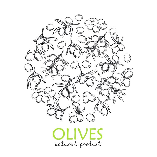 Plantilla de banner con aceitunas de grabado moderno y ramas de árboles para el mercado de agricultores