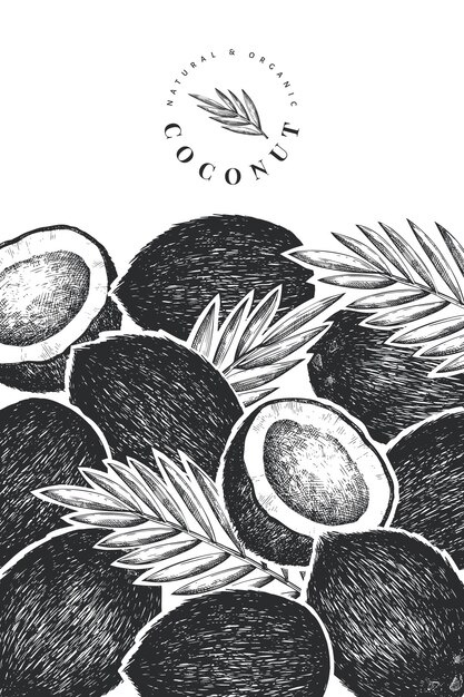 Plantilla de banner de coco con hojas de palma