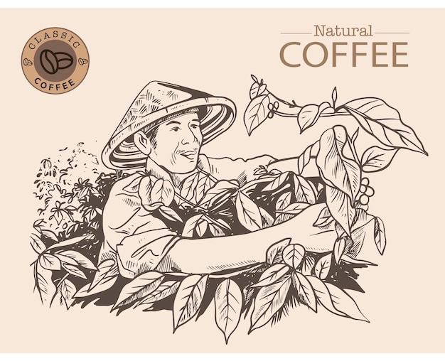 Plantilla de banner y folleto de árbol de café y agricultor en dibujo de tinta de boceto para el embalaje de etiquetas