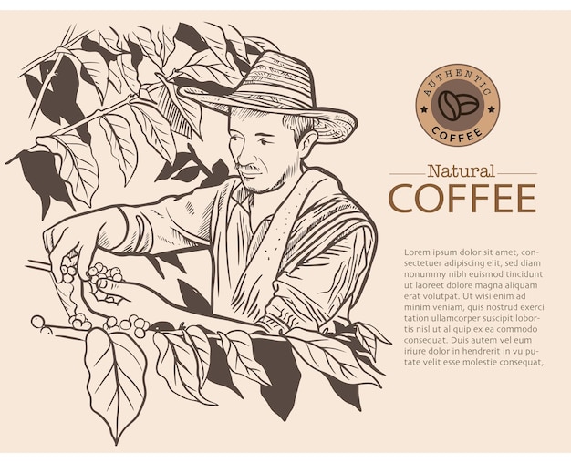 Plantilla de banner y folleto de árbol de café y agricultor en dibujo de tinta de boceto para el embalaje de etiquetas