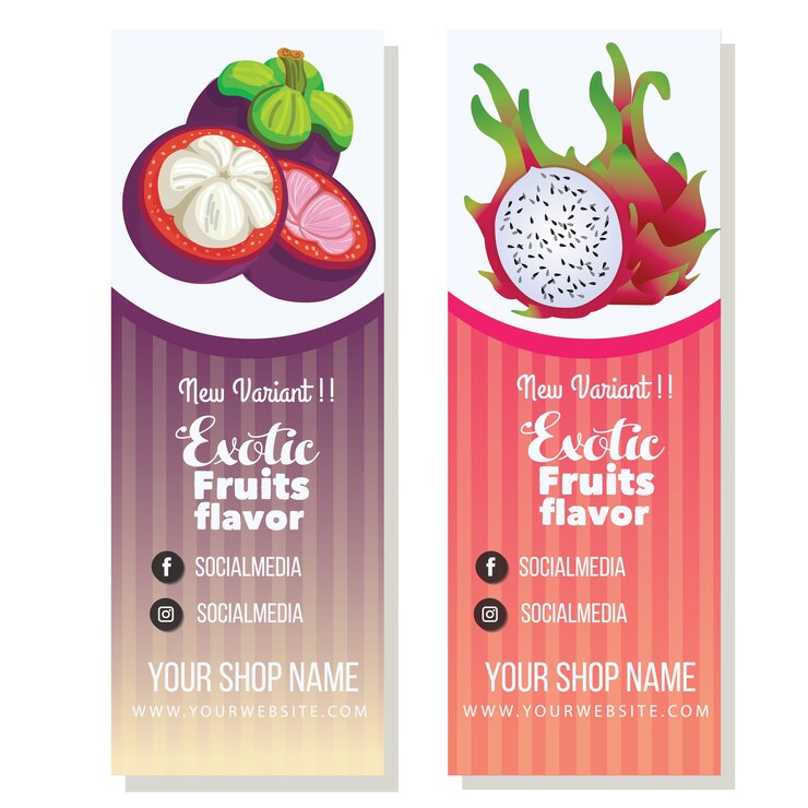plantilla de banner de mangostán y fruta de dragón