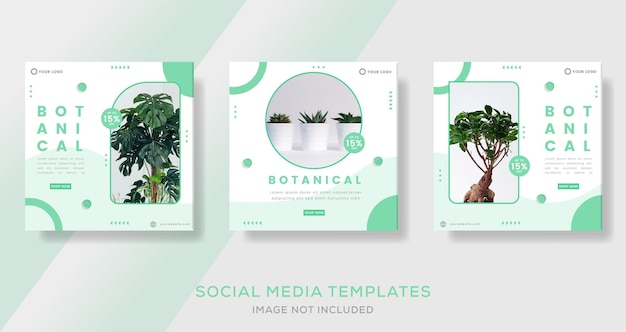 Vector plantilla de banner de naturaleza botánica para redes sociales post preimum vector