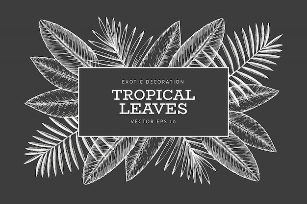 Vector plantilla de banner de plantas tropicales