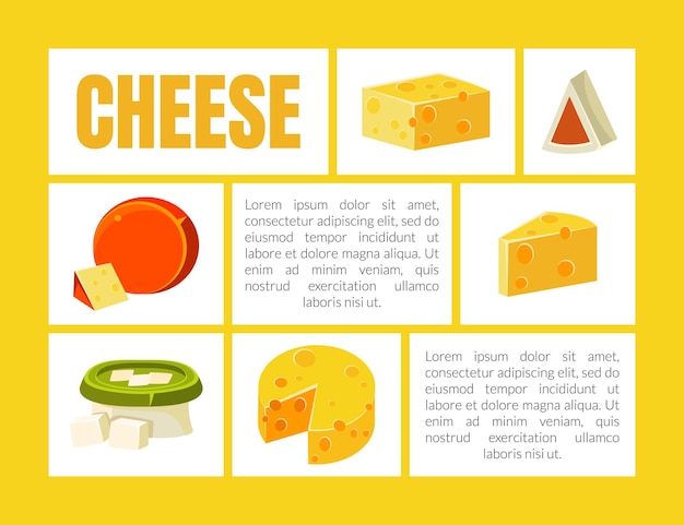 Plantilla de banner de queso con lugar para texto Descripción de productos lácteos naturales Anuncio de diferentes tipos de queso Ilustración vectorial Diseño web