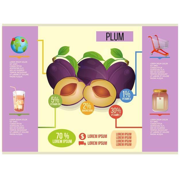 Plantilla de ciruela infografía