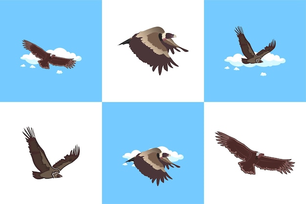 plantilla de colección de diseño de aves buitre