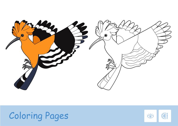 Vector plantilla coloreada e imagen de contorno incolora de un libro de colorear para niños de edad preescolar abubilla