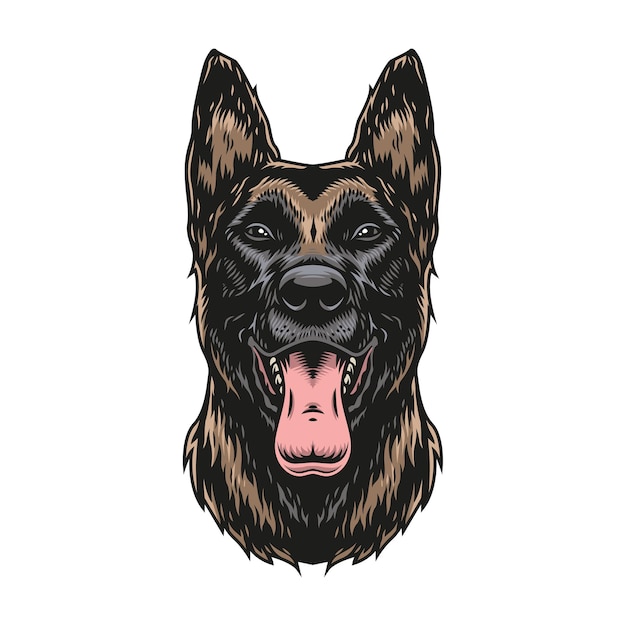 Vector plantilla colorida de la vendimia del perro belga malinois en la ilustración aislada del fondo blanco